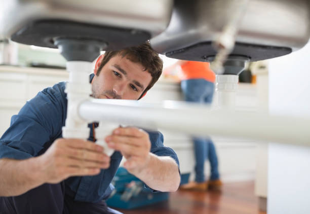 Best Local Plumber Services  in Hartford, MI